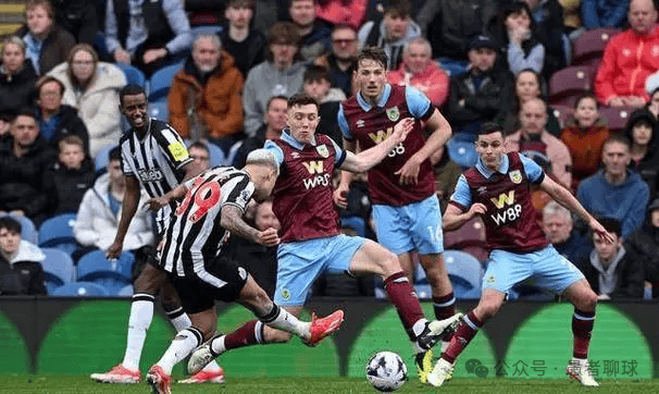 他们会根据 他们会根据