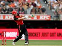 青岛海牛将 青岛海牛将