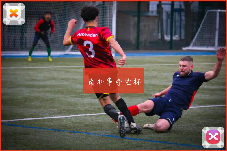 南非争夺金杯