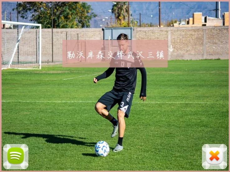 勒沃库森交锋武汉三镇
