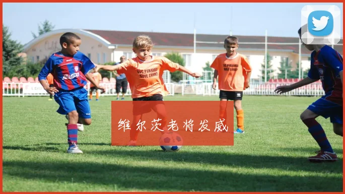 维尔茨老将发威