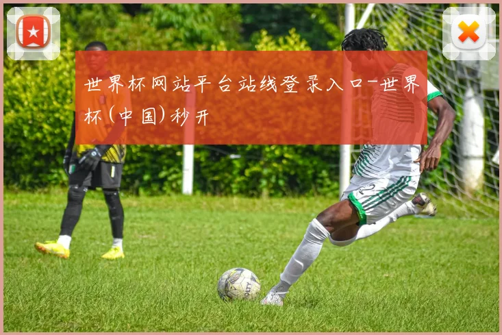世界杯网站平台站线登录入口-世界杯(中国)秒开