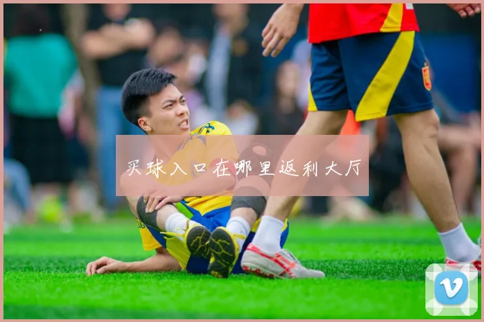 买球入口在哪里返利大厅