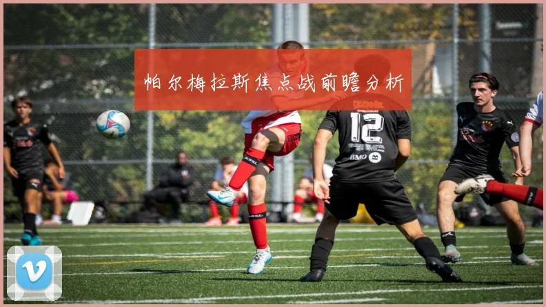 帕尔梅拉斯焦点战前瞻分析