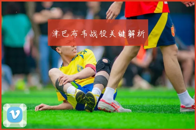 津巴布韦战役关键解析