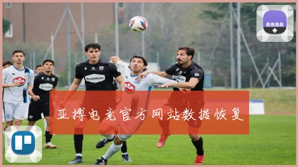 亚搏电竞官方网站数据恢复