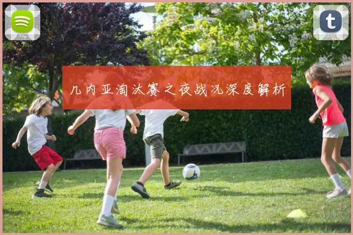 几内亚淘汰赛之夜战况深度解析