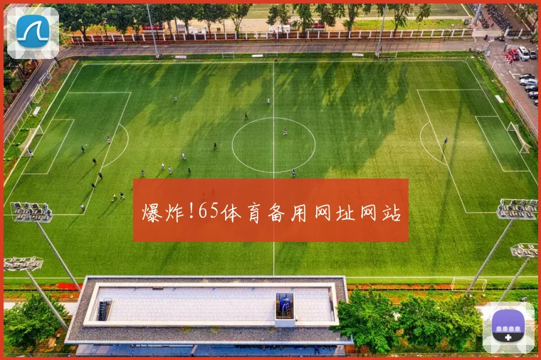 爆炸!65体育备用网址网站