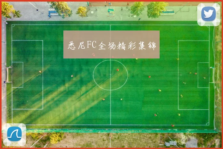 悉尼FC全场精彩集锦