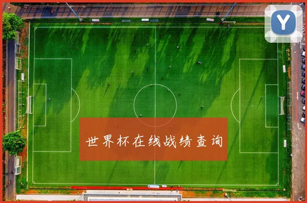 世界杯在线战绩查询