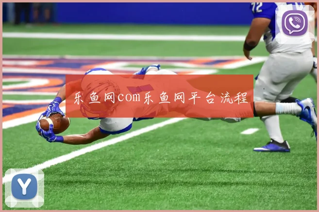 乐鱼网com乐鱼网平台流程