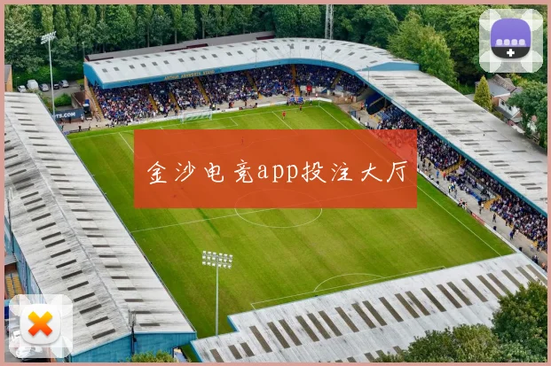 金沙电竞app投注大厅