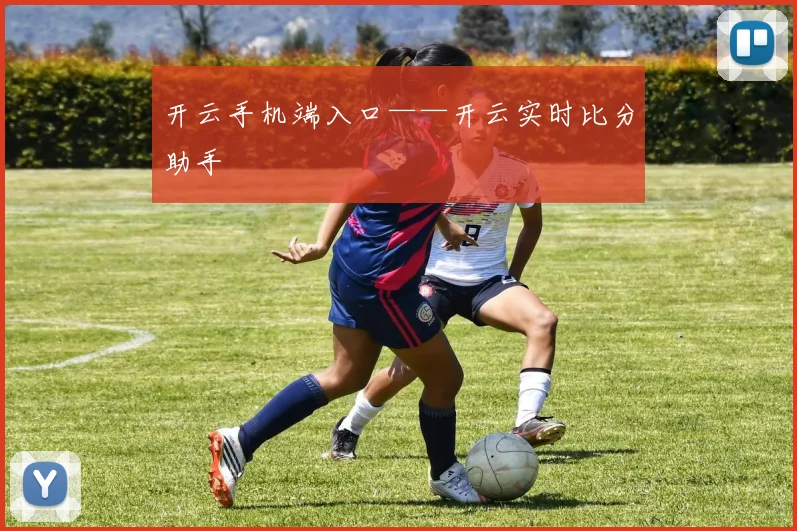 开云手机端入口——开云实时比分助手