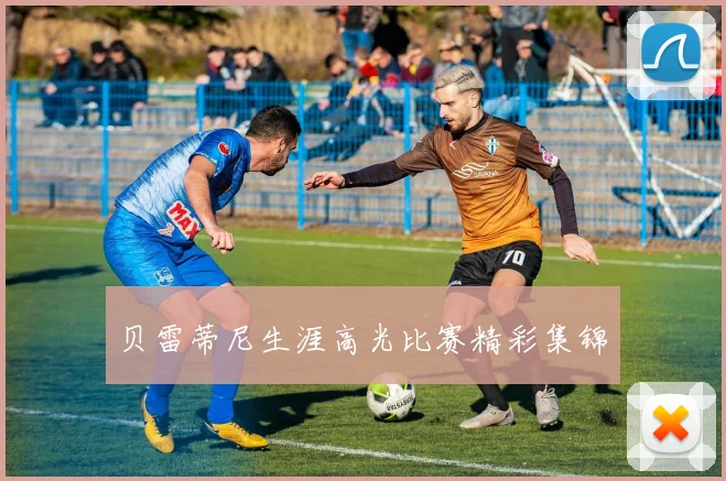 贝雷蒂尼生涯高光比赛精彩集锦