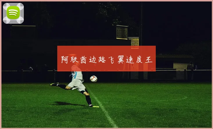 阿联酋边路飞翼速度王