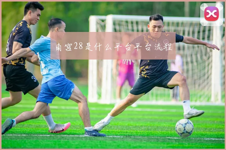 南宫28是什么平台平台流程