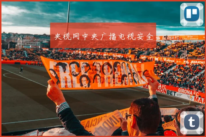 央视网中央广播电视安全