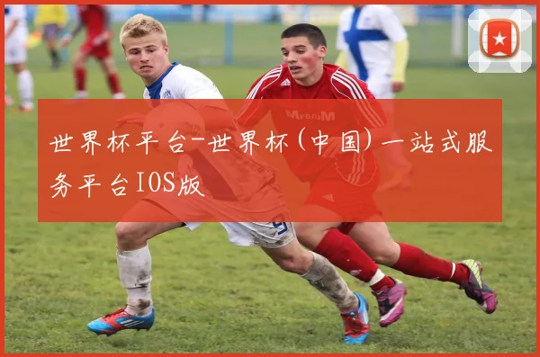 世界杯平台-世界杯(中国)一站式服务平台IOS版