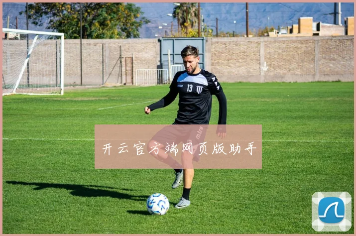 开云官方端网页版助手