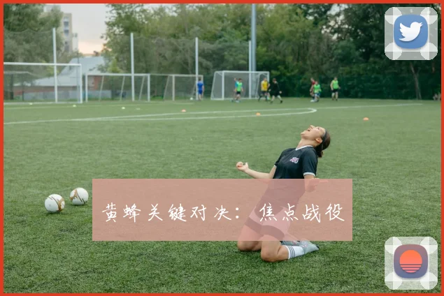 黄蜂关键对决：焦点战役