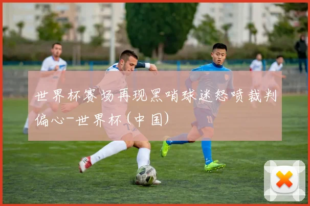世界杯赛场再现黑哨球迷怒喷裁判偏心-世界杯(中国)