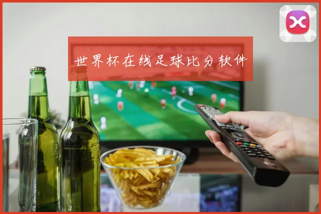 世界杯在线足球比分软件
