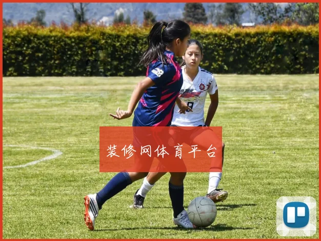 装修网体育平台