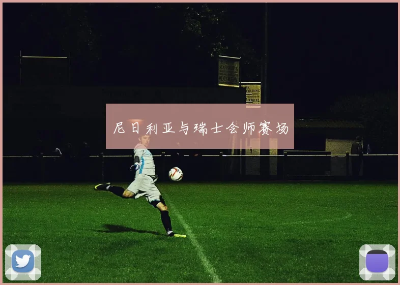 尼日利亚与瑞士会师赛场