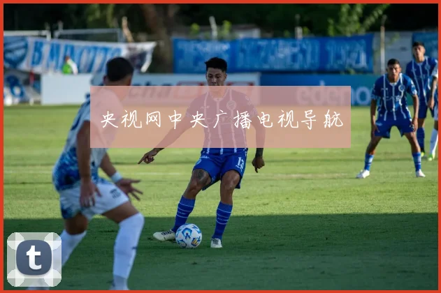 央视网中央广播电视导航