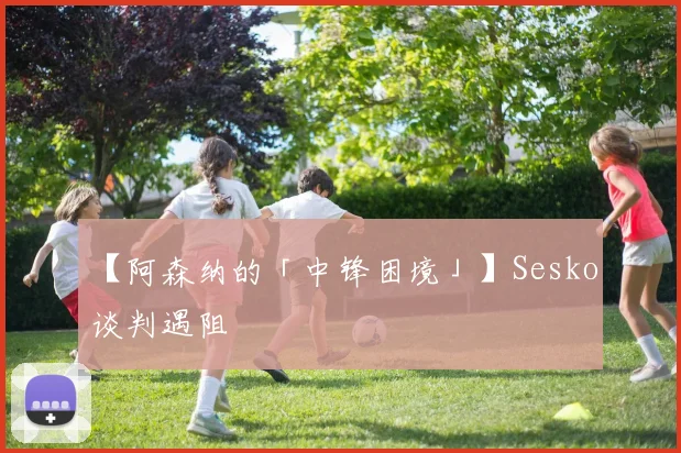 【阿森纳的「中锋困境」】Sesko 谈判遇阻