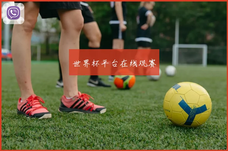 世界杯平台在线观赛