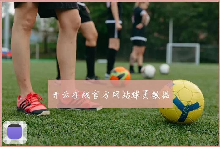开云在线官方网站球员数据