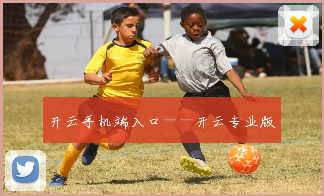 开云手机端入口——开云专业版