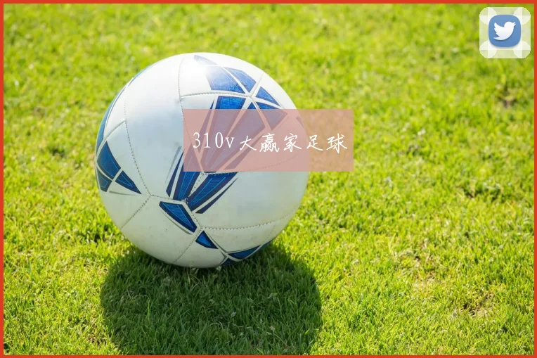 310v大赢家足球