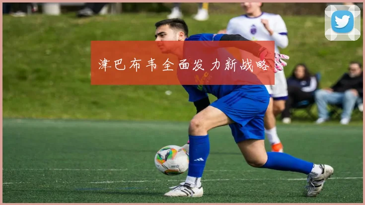 津巴布韦全面发力新战略