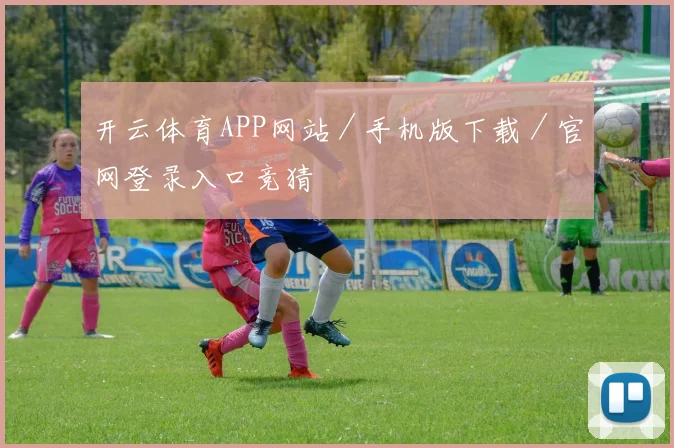 开云体育APP网站／手机版下载／官网登录入口竞猜
