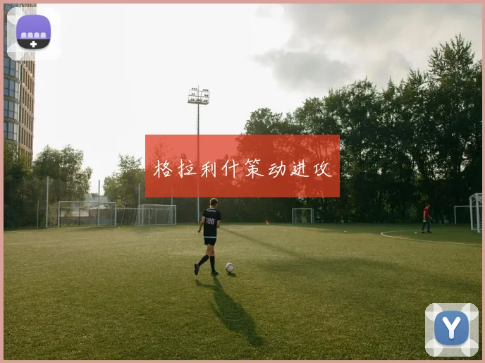 格拉利什策动进攻