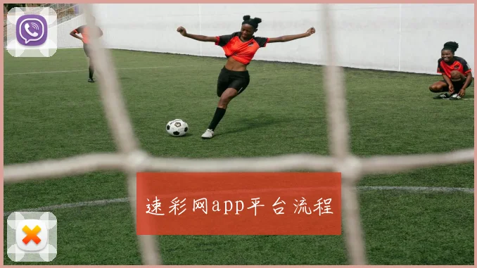 速彩网app平台流程