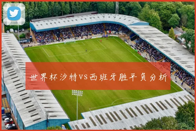 世界杯沙特vs西班牙胜平负分析