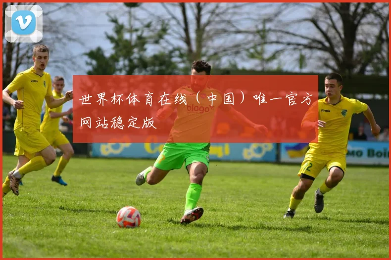 世界杯体育在线（中国）唯一官方网站稳定版