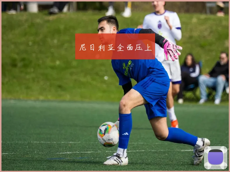 尼日利亚全面压上