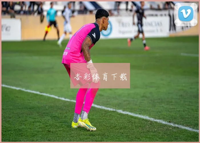 杏彩体育下载