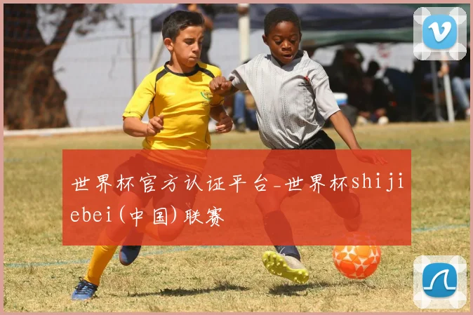 世界杯官方认证平台_世界杯shijiebei(中国)联赛