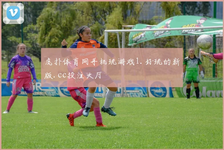 虎扑体育网手机玩游戏1.好玩的新版.cc投注大厅