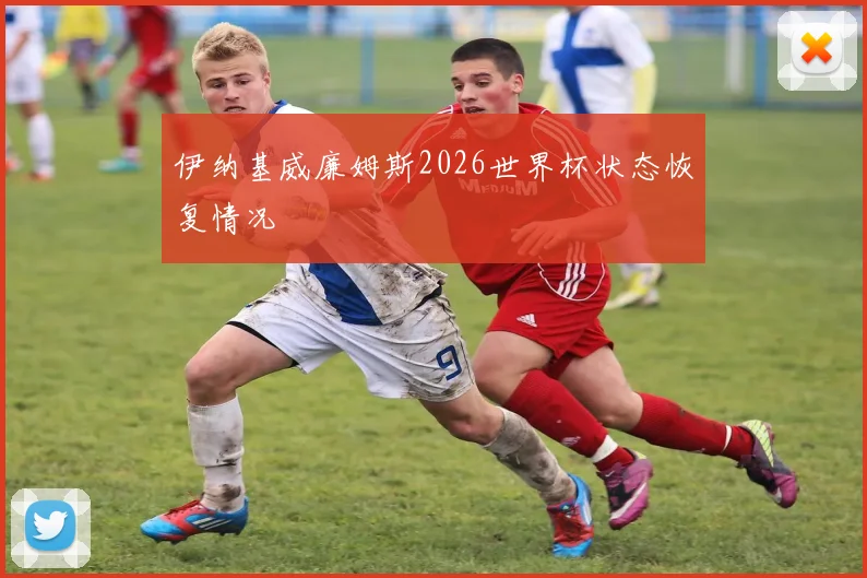 伊纳基威廉姆斯2026世界杯状态恢复情况