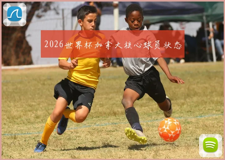 2026世界杯加拿大核心球员状态