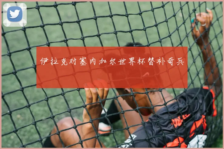 伊拉克对塞内加尔世界杯替补奇兵