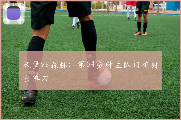 汉堡vs森林:第54分钟主队门将封出单刀