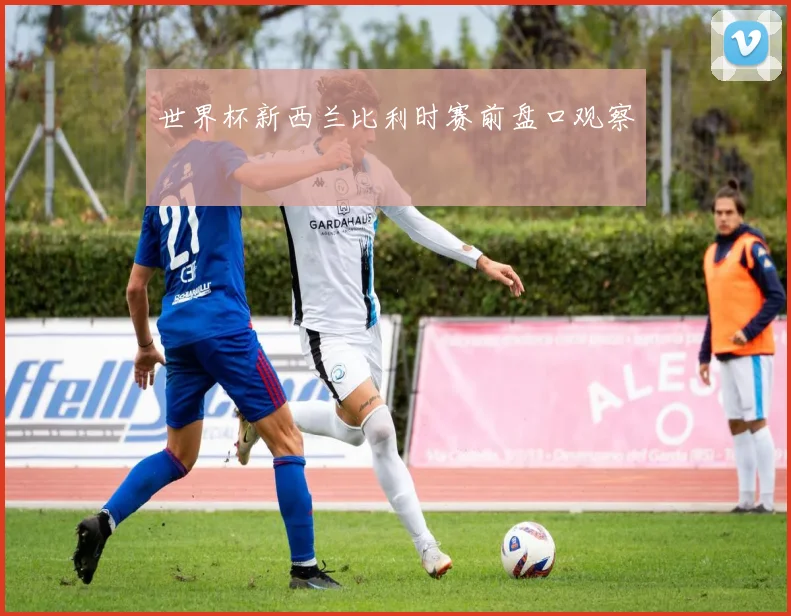 世界杯新西兰比利时赛前盘口观察