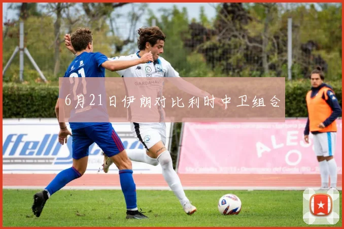 6月21日伊朗对比利时中卫组合